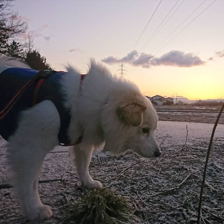 9c6533d8 a7ad 48d3 a21d c247eee524cb 1519076882110