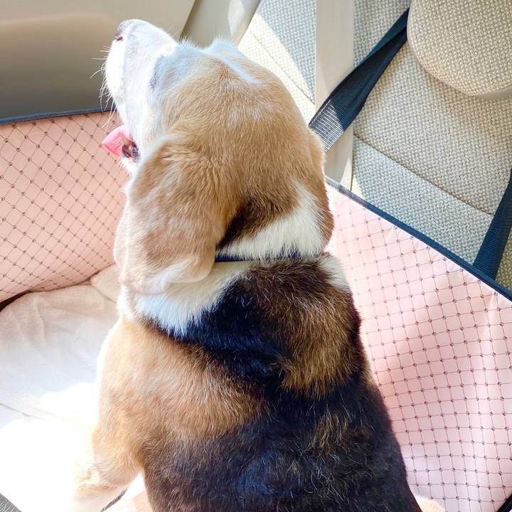 9c6577da 8c7f 4da2 b863 b0e4bb94a501 1596516913386