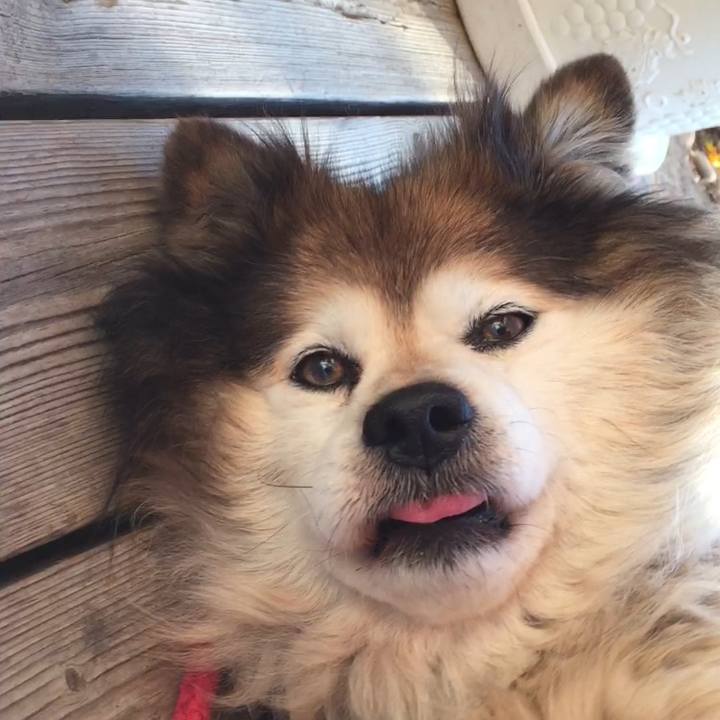 9c65822f 5797 486e 995f 96aac3f5511c 1552087785615