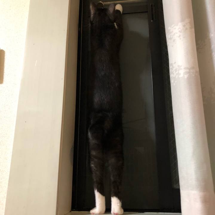 9c659113 645c 4703 a173 f9fb2c1865e7 1524668208495