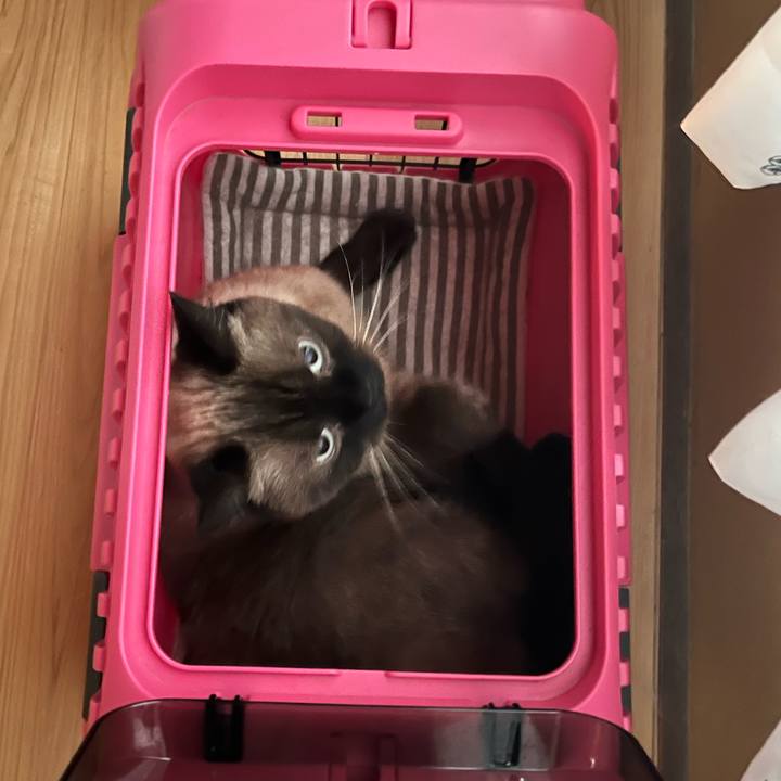 9c65ac1c 4199 43c0 9503 7cf51653a208 1725151441601