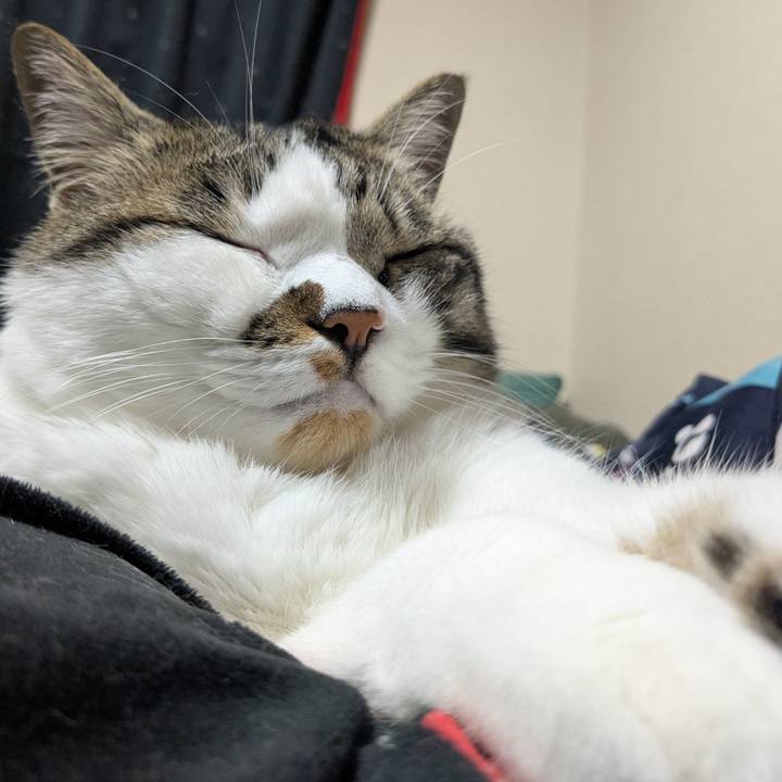 9c661514 5006 494c 8458 9398a53e9b8a 1748606599080