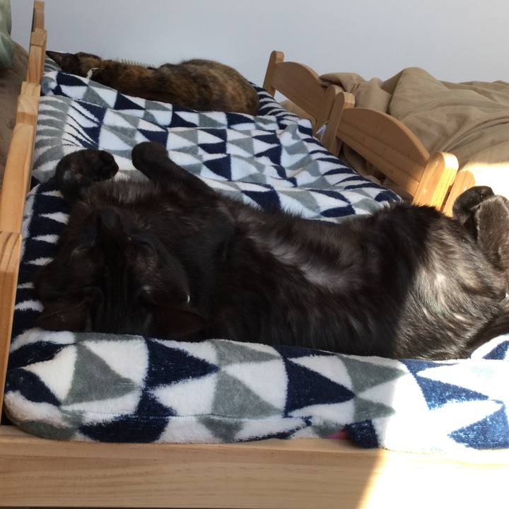 9c662809 fc35 40ae aebd 6b7711a41ea9 1509754282518