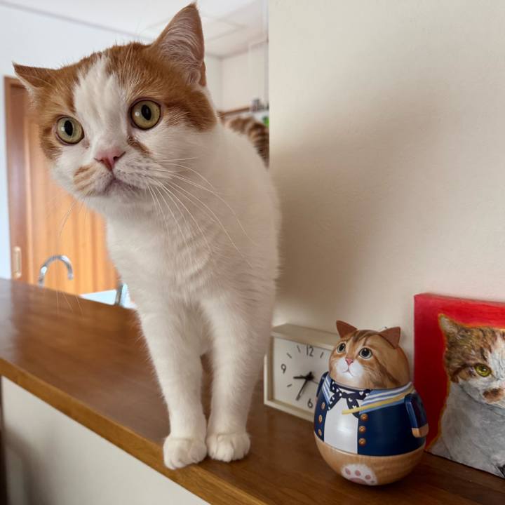 9c663d3b b3b7 4f28 9eaf a5271259d342 1776561347864