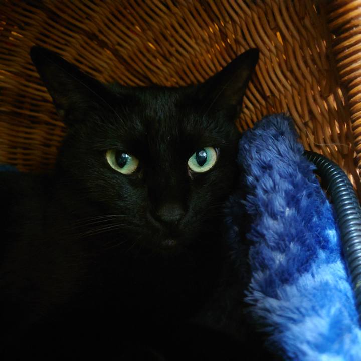 9c6674a6 9064 47f2 9a2e 3e453bdb6802 1738896370204