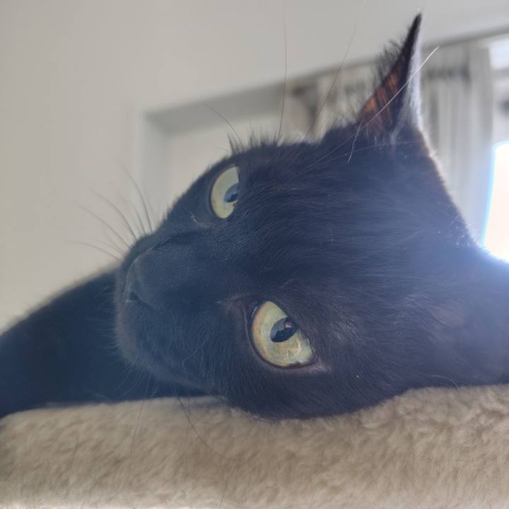 9c6679ea 6f63 424d a933 a1afe960c8be 1726110816867