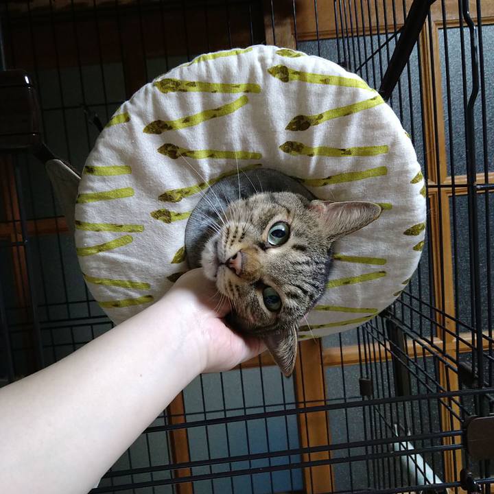 9c6689ff 302a 4041 8c79 ae1dc9663bed 1725188458087