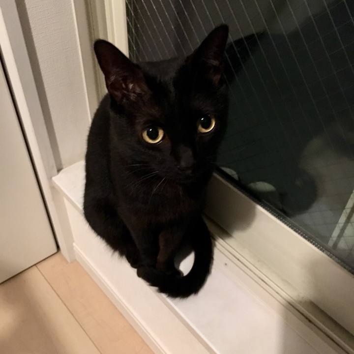 9c668ad1 6789 413a 9945 3111daf73020 1527776148382