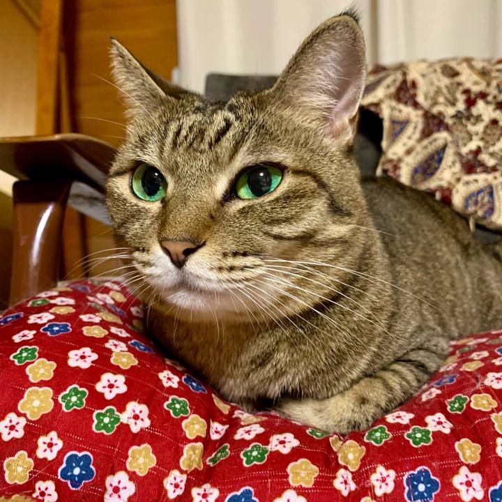 9c669fee 93f9 48bd a478 a527c30bf201 1632575618208