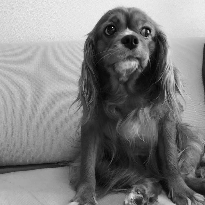 9c66a4c8 eb57 490b a673 a1a8e197d3d2 1591568760685