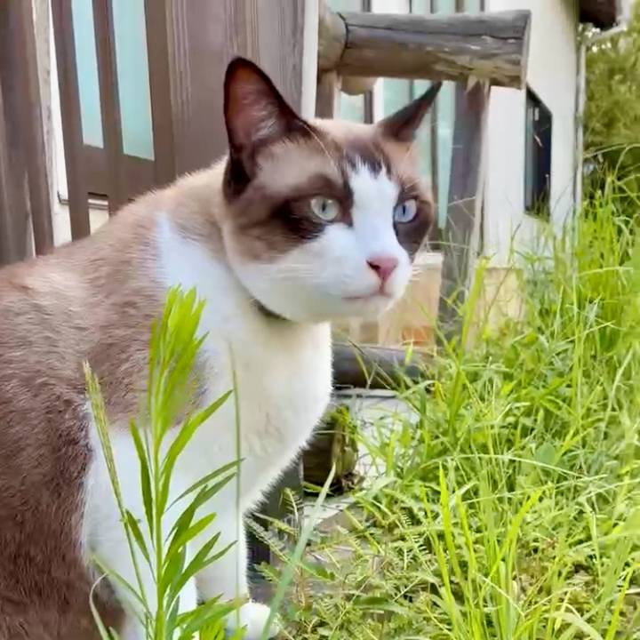 9c66c57b feb1 4fd7 8f12 eb041db2ad1c 1756195165194