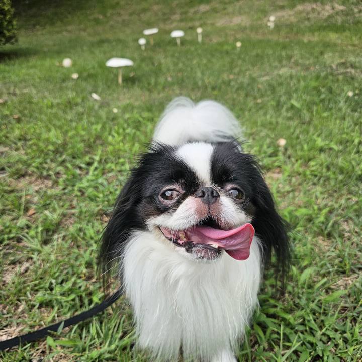 9c66ef2c def7 482b 9b46 861f96711a58 1725276562713