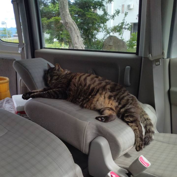 9c670069 45b7 4adf a609 66b60bd6ea99 1717490359243