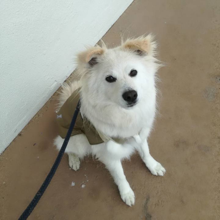 9c6756c5 2ac9 4ba7 b776 807bcf3fcbc6 1521159409238