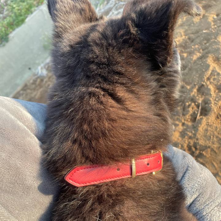 9c675e16 599d 4c48 a7a3 eb6d9299cb03 1774308321329