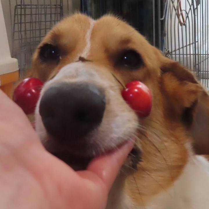 9c676781 7595 46d3 a396 ad4daf8e6585 1624414882479