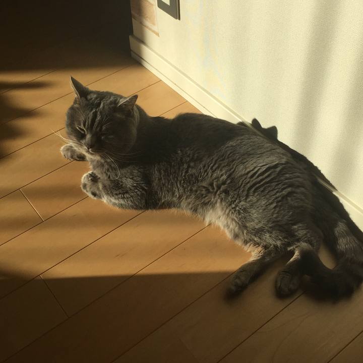 9c67f66d d941 4b25 89a0 c13168c064d2 1513471782374