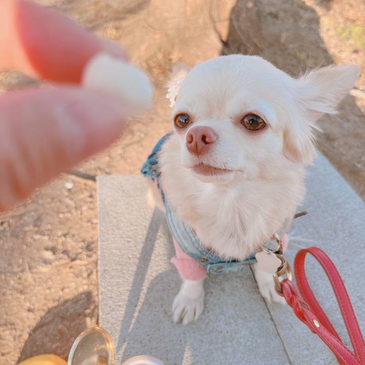 9c682526 940a 43ce a4d3 4a818ca00de6 1673430244774