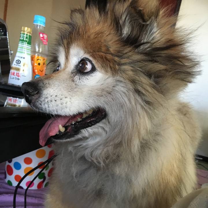 9c684292 5ee7 4d79 9f25 587dee7a0f99 1561903970025