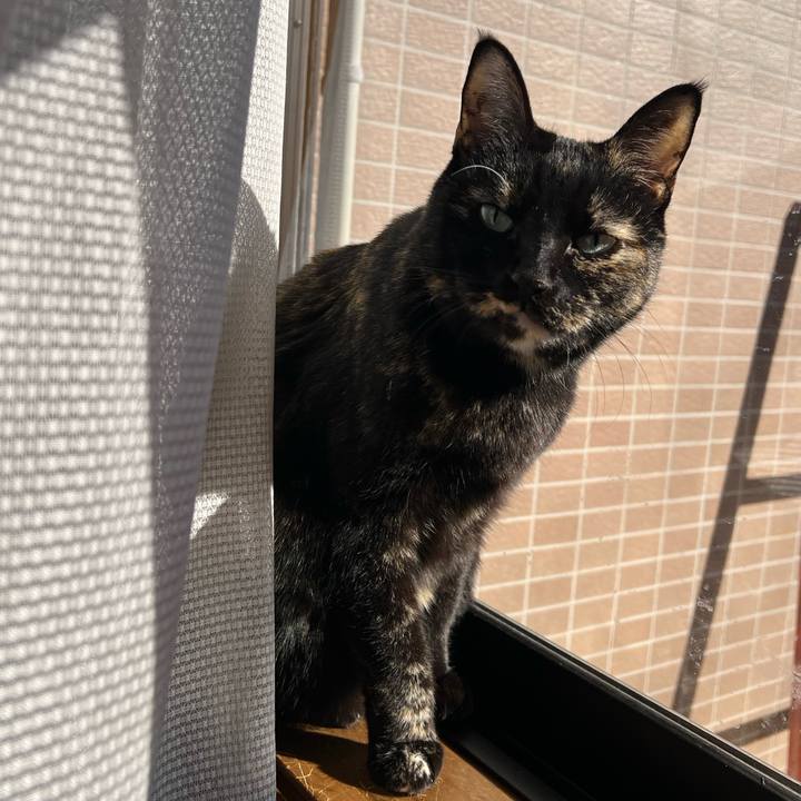 9c686035 2b53 40d4 b84b 9363baa85906 1768106103309