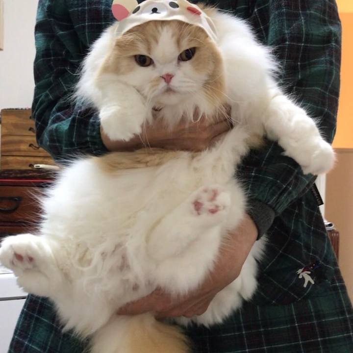 9c687644 c914 46e9 9522 bd57a038aefd 1583846416483