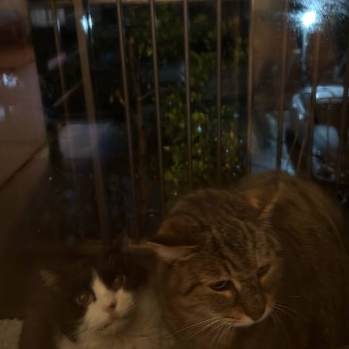 9c688b11 4e85 4482 910a 0bf9686833fe 1772552809460