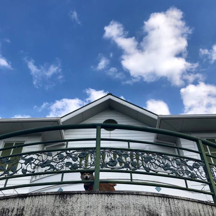 9c688c1e 5029 4a9a 9770 957617f315ad 1538478236670