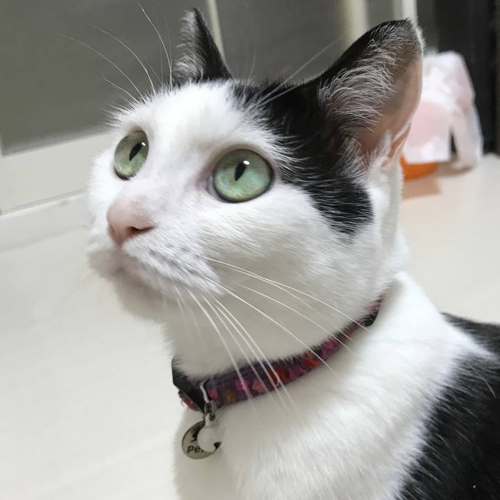 9c68a5ea b698 4553 b9e1 deabf63b6082 1531139299511