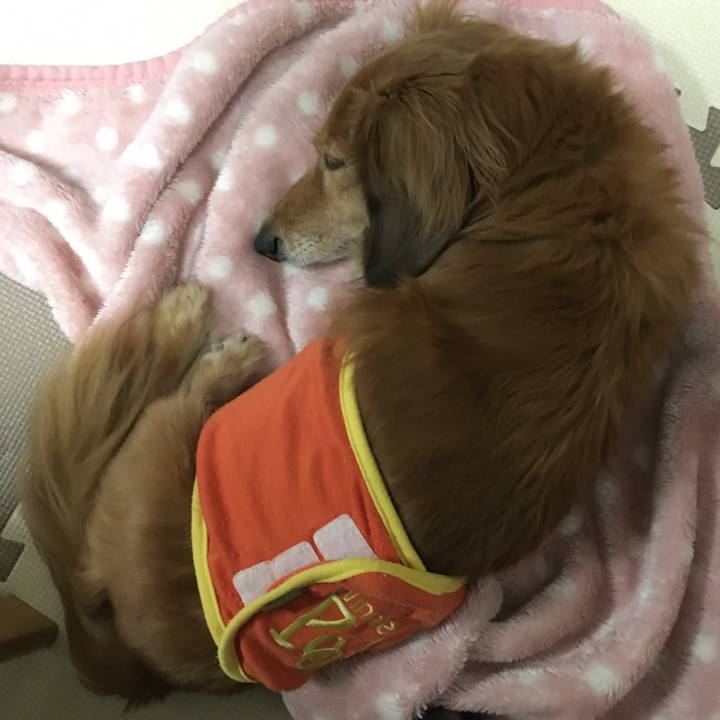 9c68c780 2ea7 4c7d a4c9 b11c5f5660ea 1608298262427