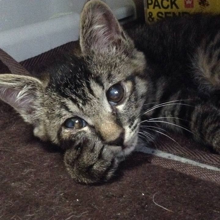 9c68dddb 5070 4431 8fc5 93cee394136d 1528884874636