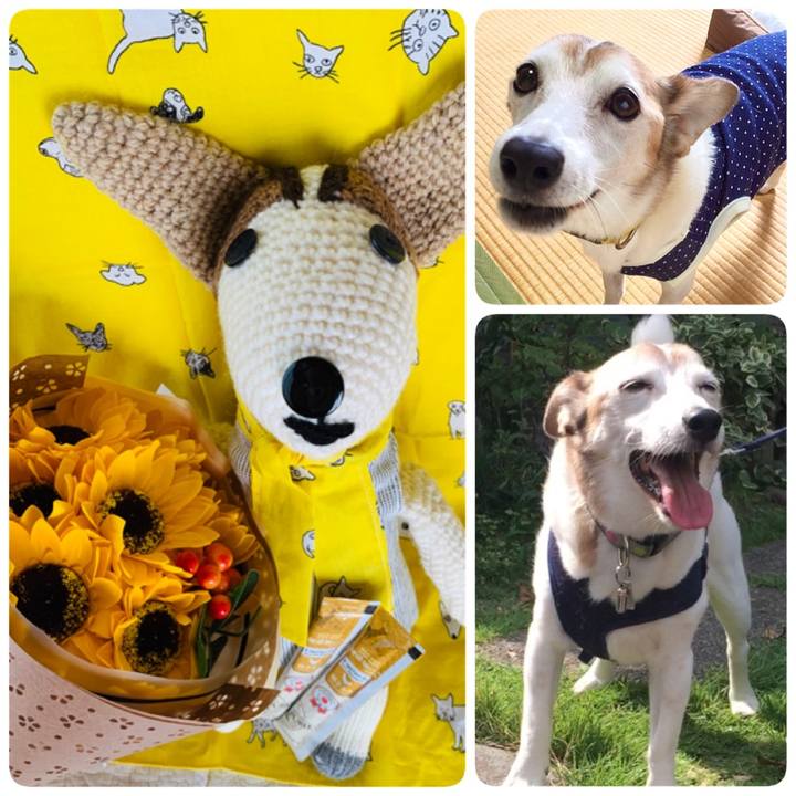 9c69197a c168 41c7 a0f8 3ddfa7a02d24 1597367011533