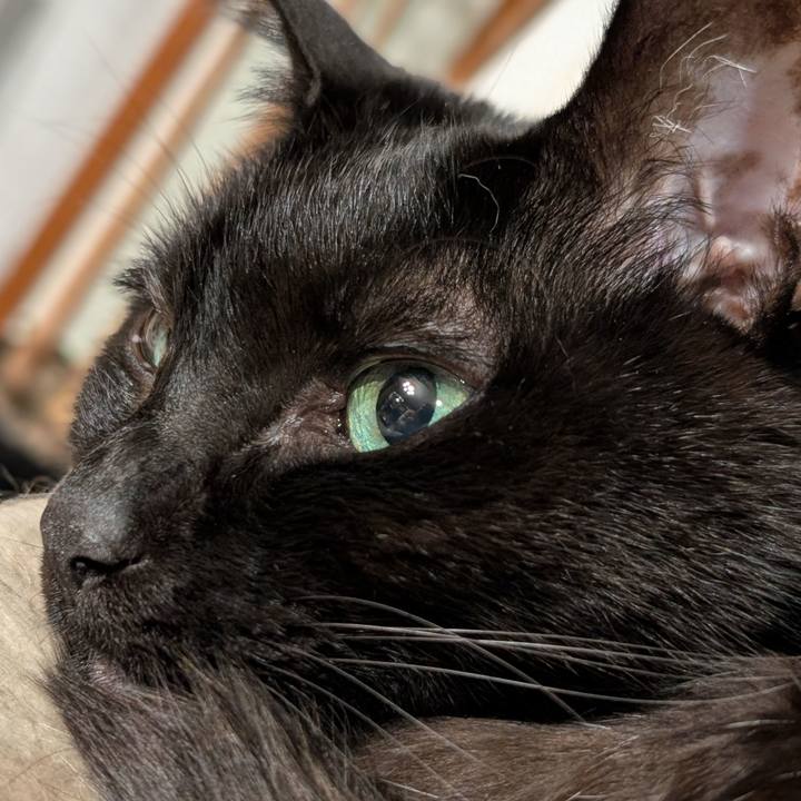 9c6926bf 1305 46ac 90b9 228773f27781 1775257814736