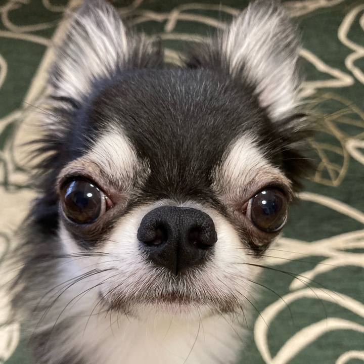 9c6943ca c292 4aac 9359 466a54d52358 1631917361424