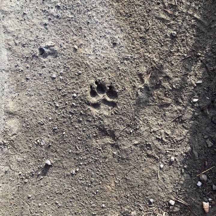 9c694907 38ba 4847 8b38 f4d36d1092fc 1713732004883