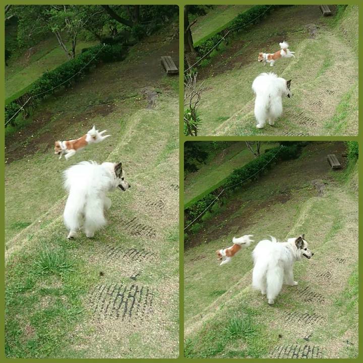 9c6966a7 bf97 44b2 9098 96652b784552 1524901015863