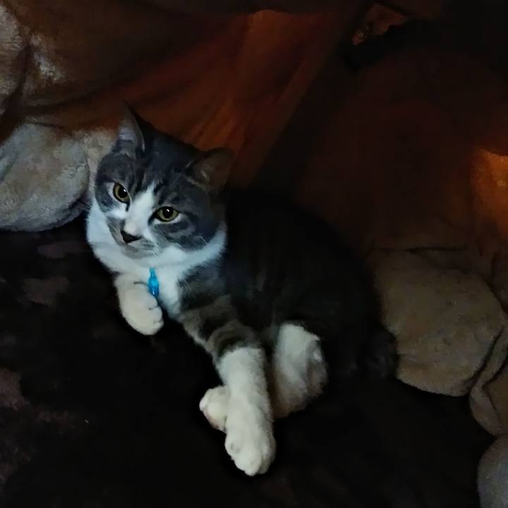 9c696ed8 57fe 4b69 b1d7 c2dea5fc11d7 1574395455366