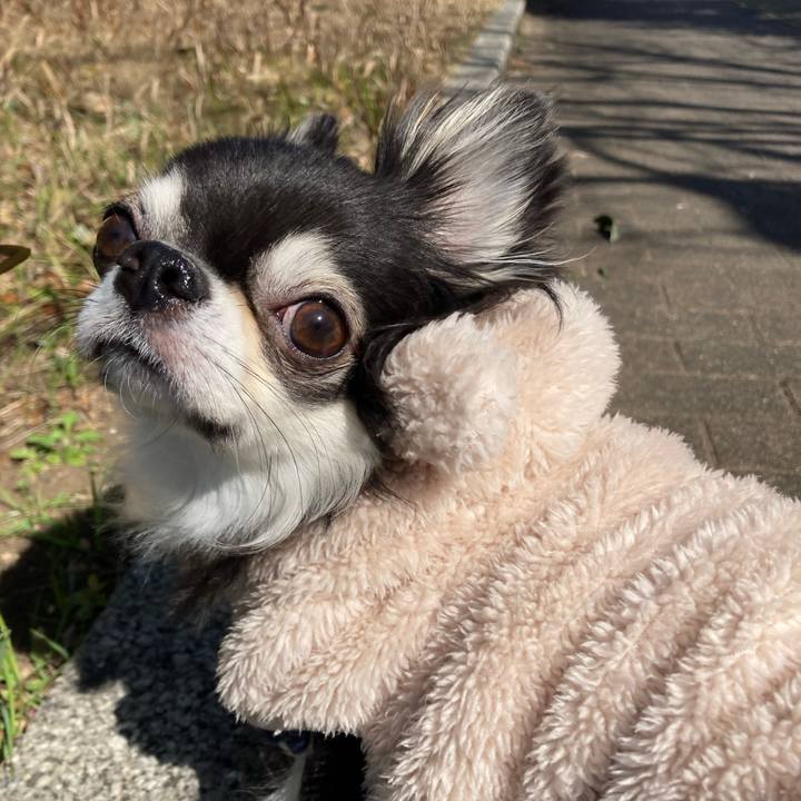 9c697acc 427f 4307 a8b5 9c117ef46c94 1677943599348