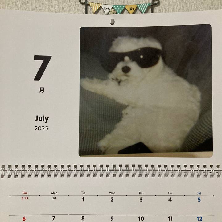 9c69879d 45fb 4be2 a7d0 cfc32d9cb02c 1751370573646