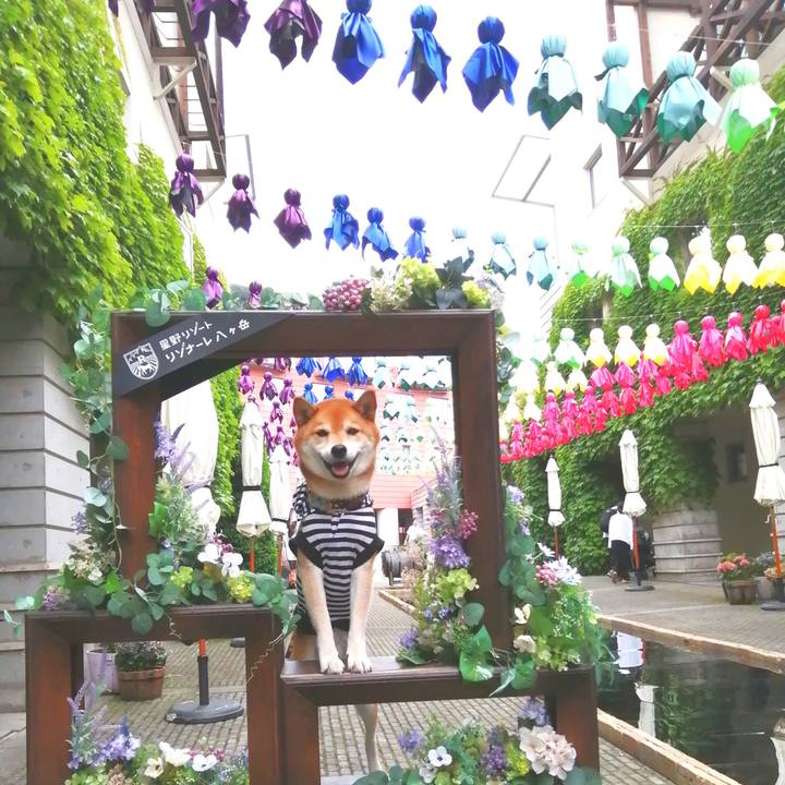 9c69dcb4 14a6 480b 883c d54bb69e56e5 1688874309685