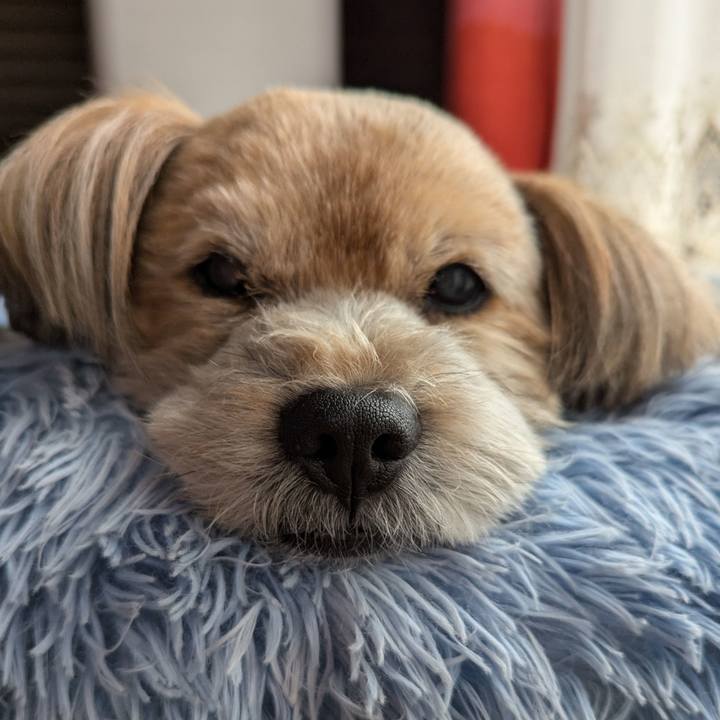 9c6a4972 88ed 40d0 8dab 7b4b4114a2e2 1729117050983