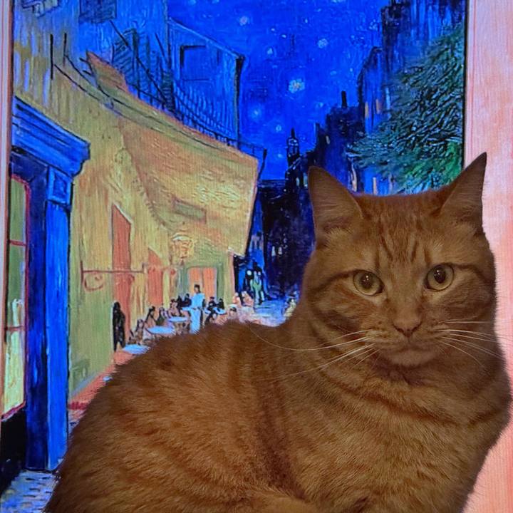 9c6a4e2a 85fb 4fc4 bed7 b1b685da7bd2 1769655683408