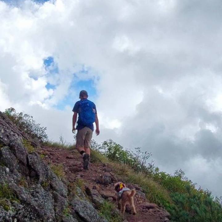 9c6a61f6 88d1 41ca 82af c9e0e9dc4e11 1727051445560