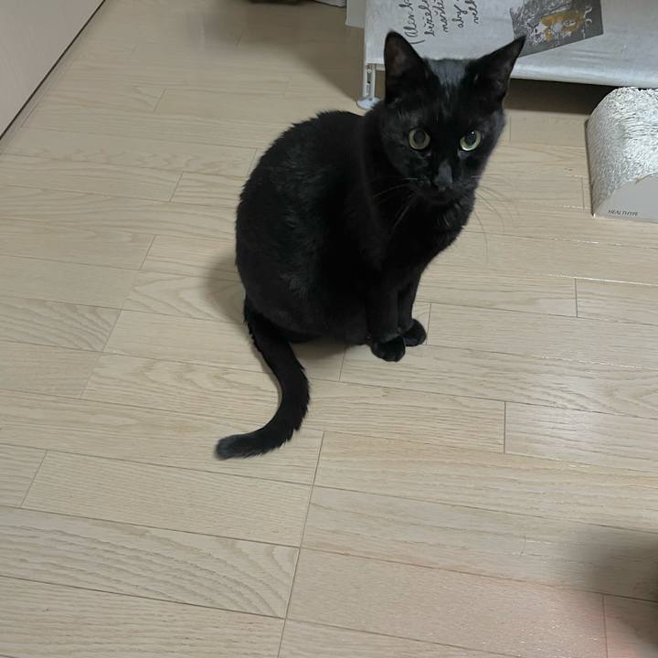 9c6b0d29 a787 45f9 a95d d792943333a7 1768480504645