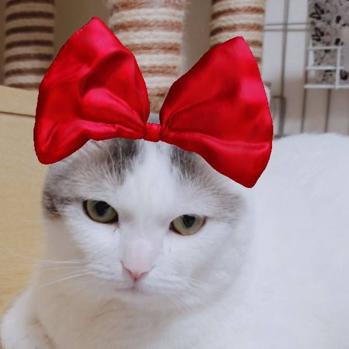 9c6b402b 7124 496d 9841 4d6caf1293a0 1562976009079