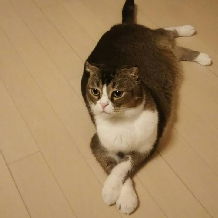 9c6b42f6 1854 492c aa05 4e79f1cb550d 1534088244996