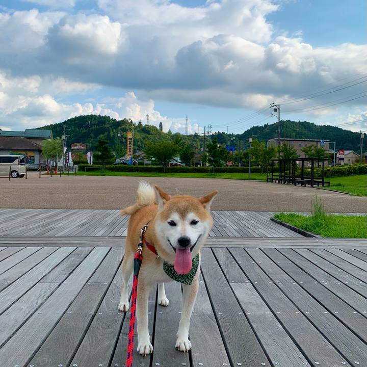 9c6b7660 7cf5 49dc 99f6 5ac1937d5064 1693133733352