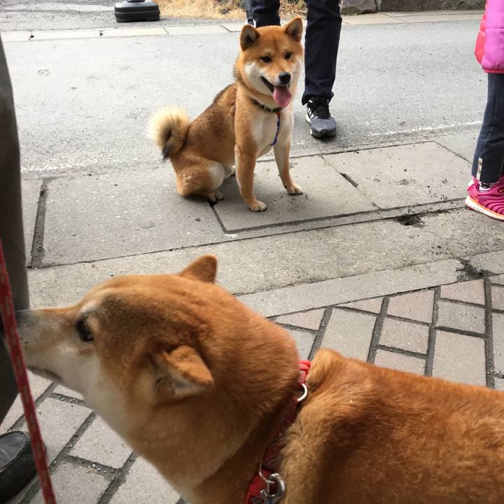 9c6b80d9 cb69 4a49 a605 8318fd5259e6 1518434503634