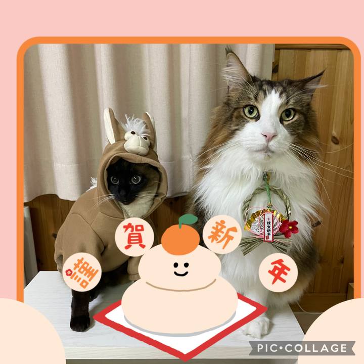 9c6b9480 3c1b 4b2b add0 ac2462ba49c7 1767215191456