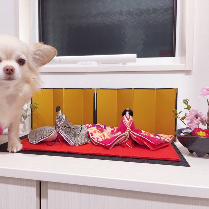 9c6b97c1 0889 4f27 b628 ba54cf5e7038 1740997582919