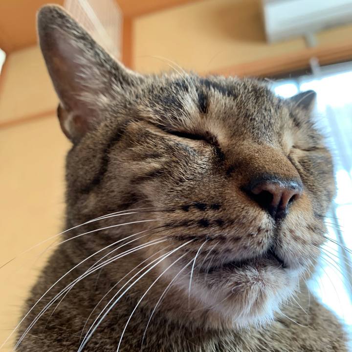 9c6b9a4a 1fcb 4796 9724 6217d3201253 1569028169632